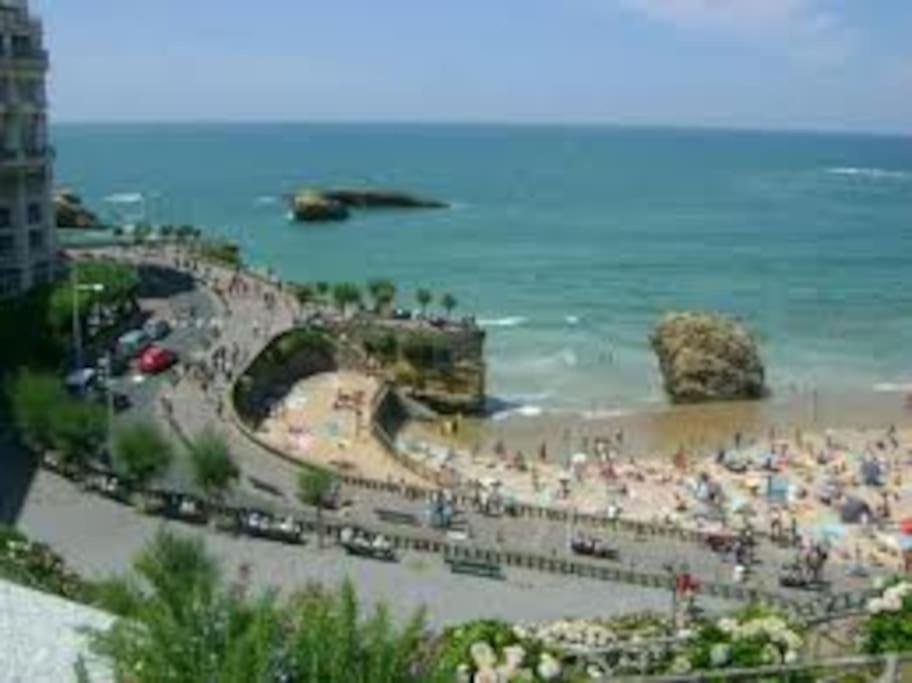 Apartment Biarritz, Hyper Centre, 50m Plages, Wifi *